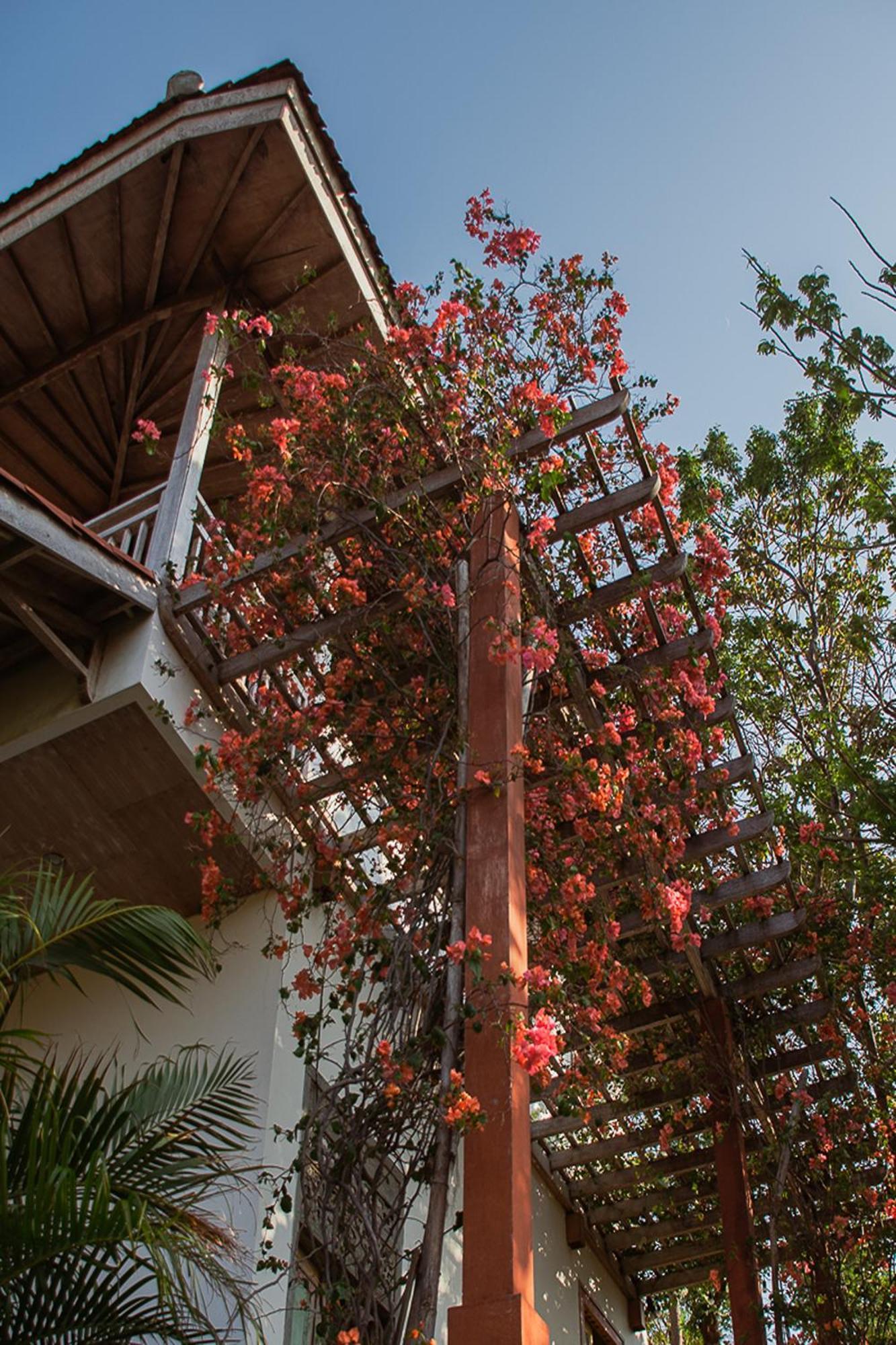 Bangsring Breeze Hotel Banyuwangi  Exterior photo