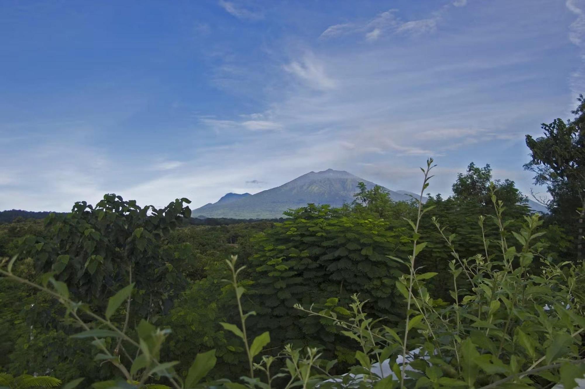 Bangsring Breeze Hotel Banyuwangi  Exterior photo
